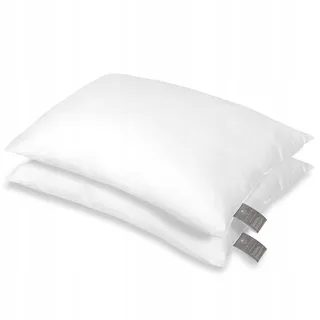 FAM HOME Kussen 50x60 cm Set van 2 Microvezel Hypoallergeen