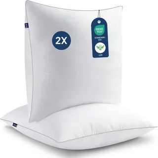 BEDSTORY Hoofdkussen 80x80 cm 2 Stuks Microvezel Zacht Wasbaar