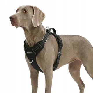 FUNFOX Tuigje XL Grote Honden Verstelbaar Anti-trek Reflecterend