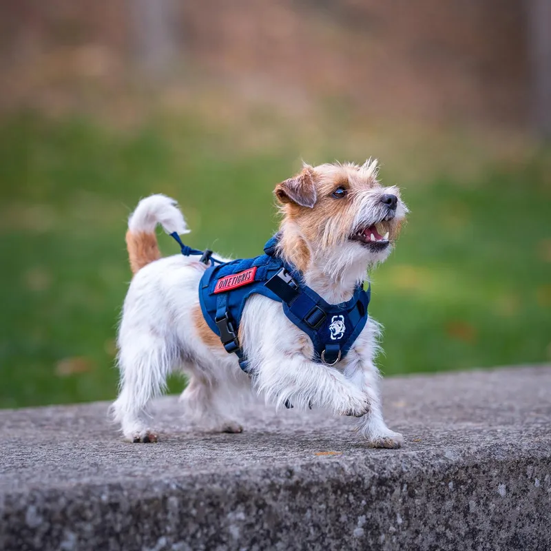 ONETIGRIS Tactisch Tuigje Honden 1000D Nylon XXS Groen — foto 4