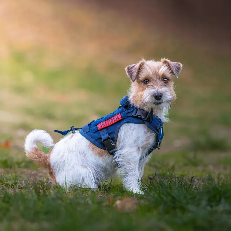 ONETIGRIS Tactisch Tuigje Honden 1000D Nylon XXS Groen — foto 5