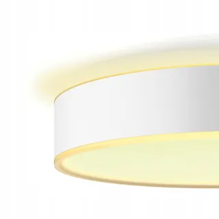 PHILIPS Hue White Ambiance Enrave Plafondlamp 4300lm Dimmer