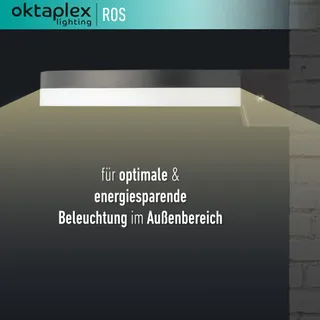 OKTAPLEX Ros LED Buitenlamp IP65 3000K 1300lm 14,6W Antraciet — miniatuur 2