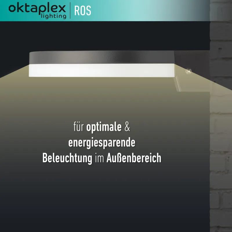 OKTAPLEX Ros LED Buitenlamp IP65 3000K 1300lm 14,6W Antraciet — foto 2