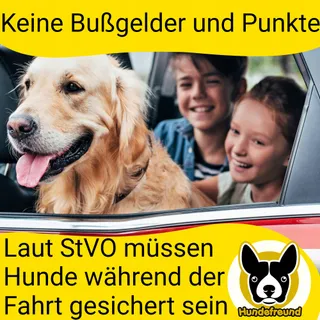 HUNDEFREUND Autogordel Hond Verstelbaar Veilig — miniatuur 6