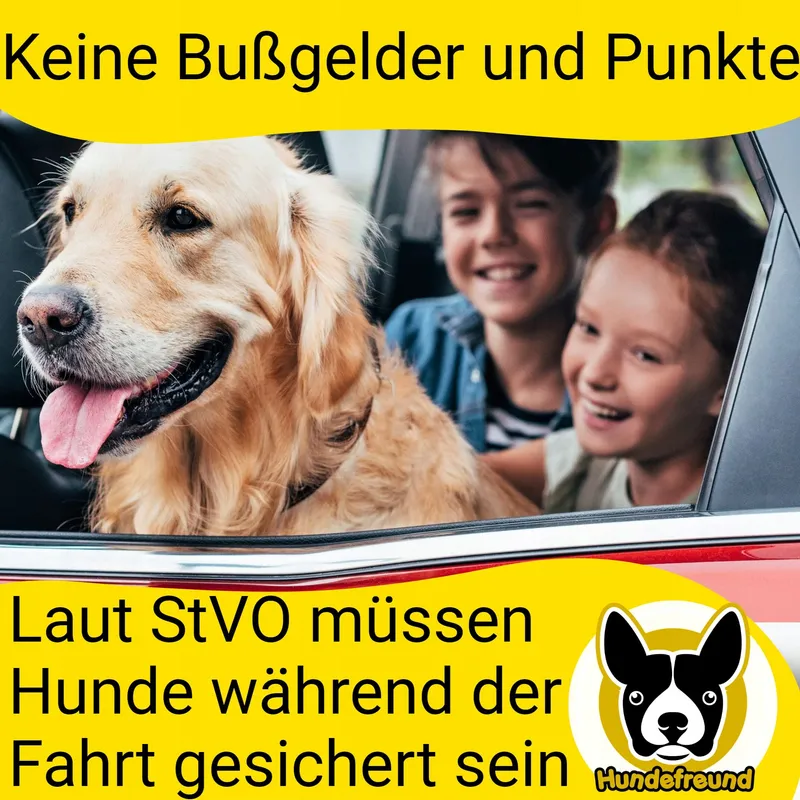 HUNDEFREUND Autogordel Hond Verstelbaar Veilig — foto 6