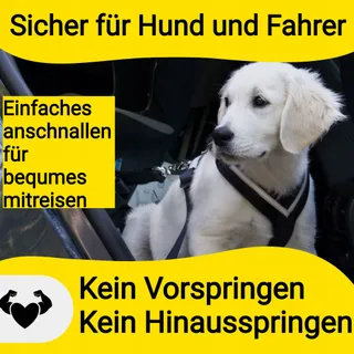 HUNDEFREUND Autogordel Hond Verstelbaar Veilig — miniatuur 7