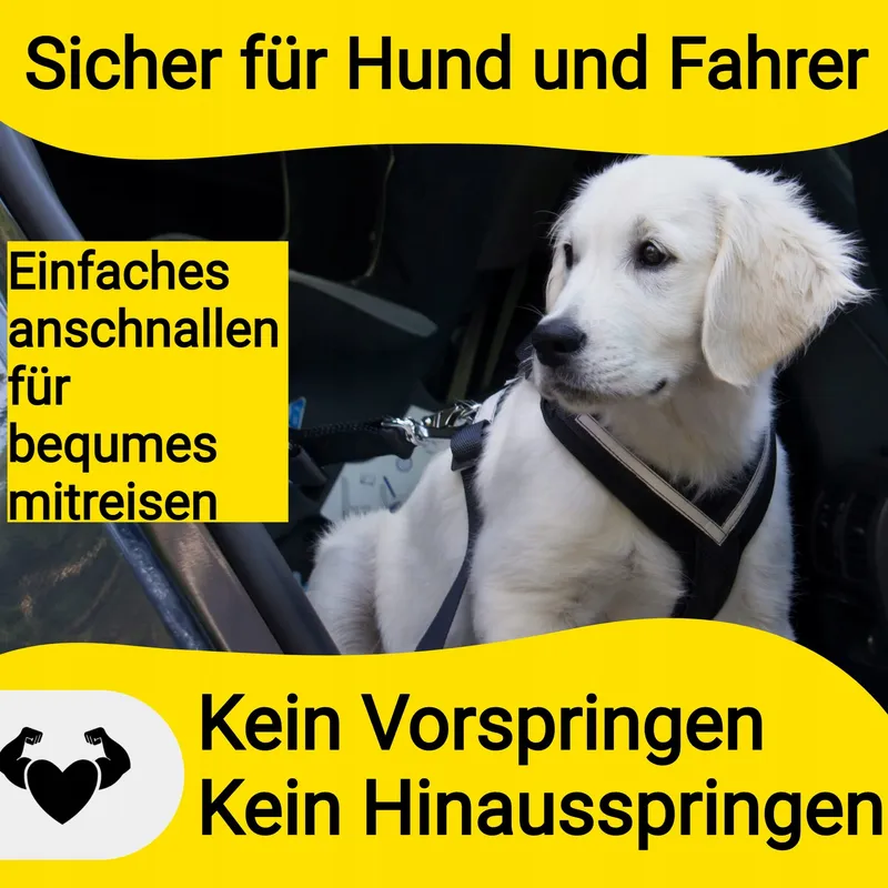 HUNDEFREUND Autogordel Hond Verstelbaar Veilig — foto 7