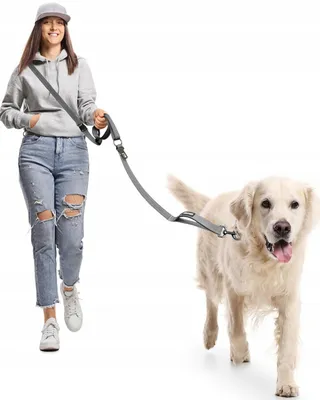 WANFIRE Hardloopriem Hond Grote Middelgrote Honden Wandelen