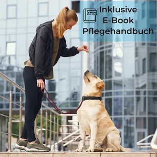 TESTNOTE Hondenriem 2m Verstelbaar Weerbestendig — miniatuur 6