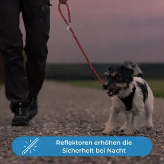 TESTNOTE Hondenriem 2m Verstelbaar Weerbestendig — miniatuur 5