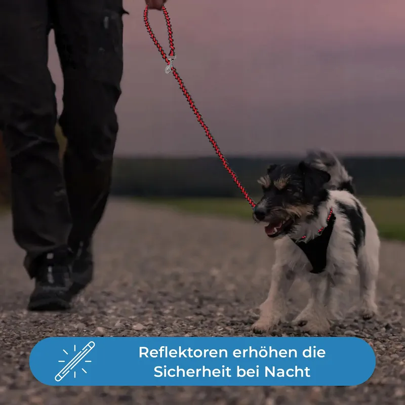 TESTNOTE Hondenriem 2m Verstelbaar Weerbestendig — foto 5