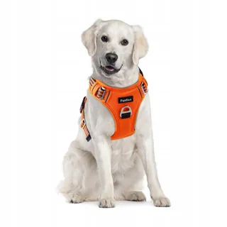 FUNFOX Hondentuig Grote Honden Verstelbaar Anti-trek Oranje L