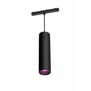 PHILIPS Hue Perifo LED Hanglamp 16M Kleuren met App
