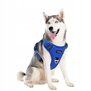 FUNFOX Hondentuig Verstelbaar Anti-trek Blauw L