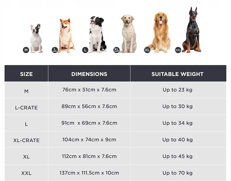 BEDSURE Orthopedisch Hondenbed Middelgrote Honden 91x69x7.6cm Zwart — foto 13