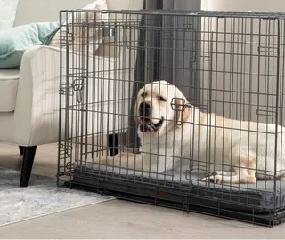 BEDSURE Orthopedisch Hondenbed Middelgrote Honden 91x69x7.6cm Zwart — miniatuur 14