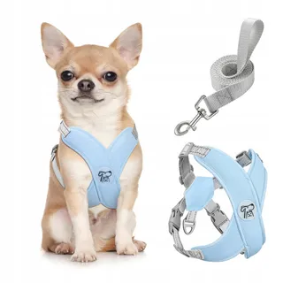 PAWABOO Hondentuig met Riem Verstelbaar Kleine Middelgrote Honden