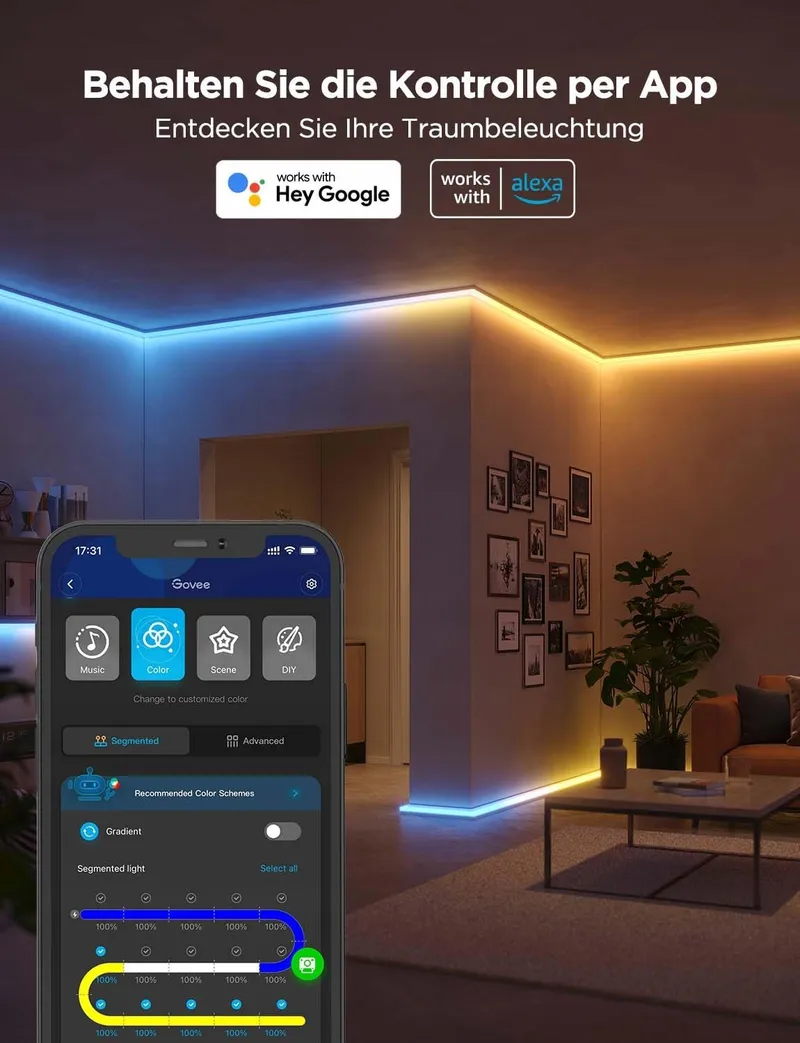 GOVEE RGBIC LED Strip 3M Alexa Google Assistant App — foto 6