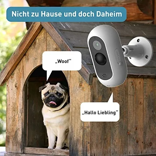 PETTEC Draadloze Huisdiercamera App Honden Katten — foto 4