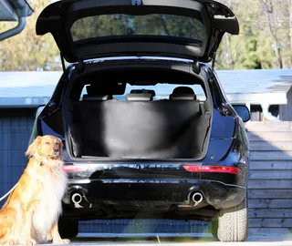 AUTOOPTIMIERERDE Universele Kofferbakmat Hond Waterdicht Zwart — miniatuur 3