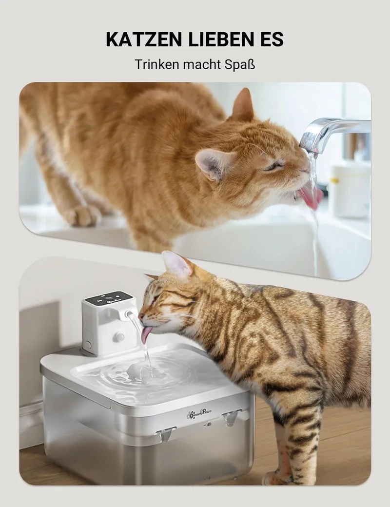 DOWNYPAWS Draadloze Kattenfontein 2.5L Automatisch Wit — foto 5