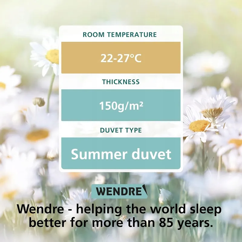 WENDRE Antiallergisch Zomerdekbed 240x260 Microvezel Licht — foto 7