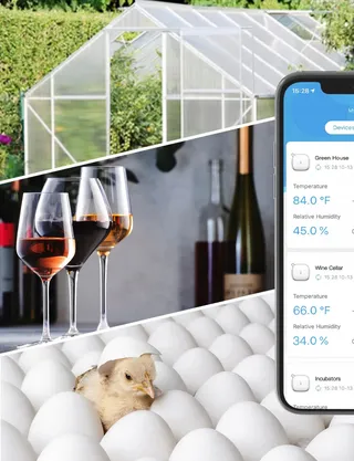 GOVEE Thermometer Hygrometer WiFi Binnen App Broeikas Wijnkelder — miniatuur 7