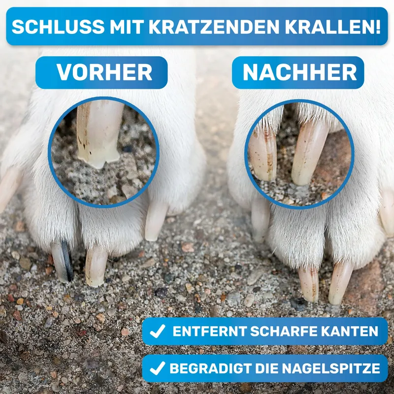 BLUEPET 2x Nagelvijl Honden Katten Kleine Dieren — foto 2