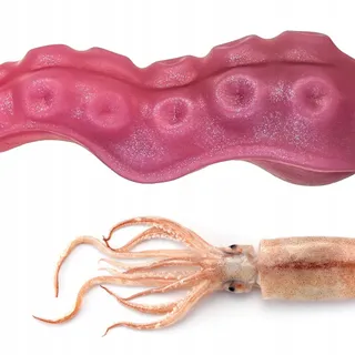 SXOVO Silicone Tentakel Dildo Anaal Prostaatmassage Beginners — miniatuur 6