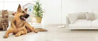 TOMXCUTE Drinkfontein Voor Katten Roestvrij Staal 3,2L — miniatuur 8