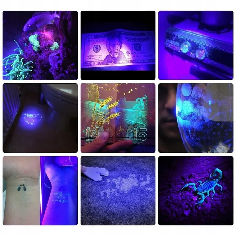 Alonefire X901UV UV Zaklamp 10W 365nm Draagbaar — foto 4