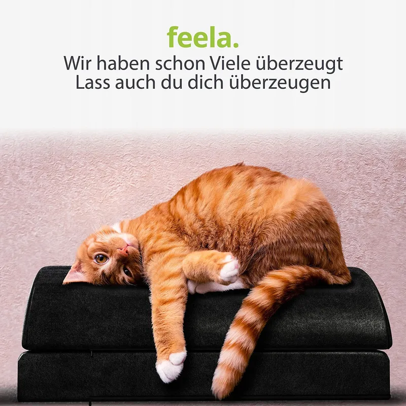 FEELA Verstelbare Ergonomische Voetsteun Traagschuim — foto 9