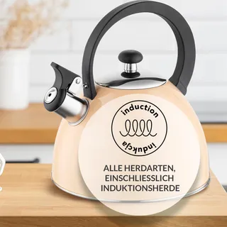 FLORINA BRILLO Waterketel 2L Staal Inductie Gas Elektrisch Bakeliet — miniatuur 7