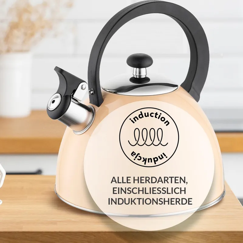 FLORINA BRILLO Waterketel 2L Staal Inductie Gas Elektrisch Bakeliet — foto 7