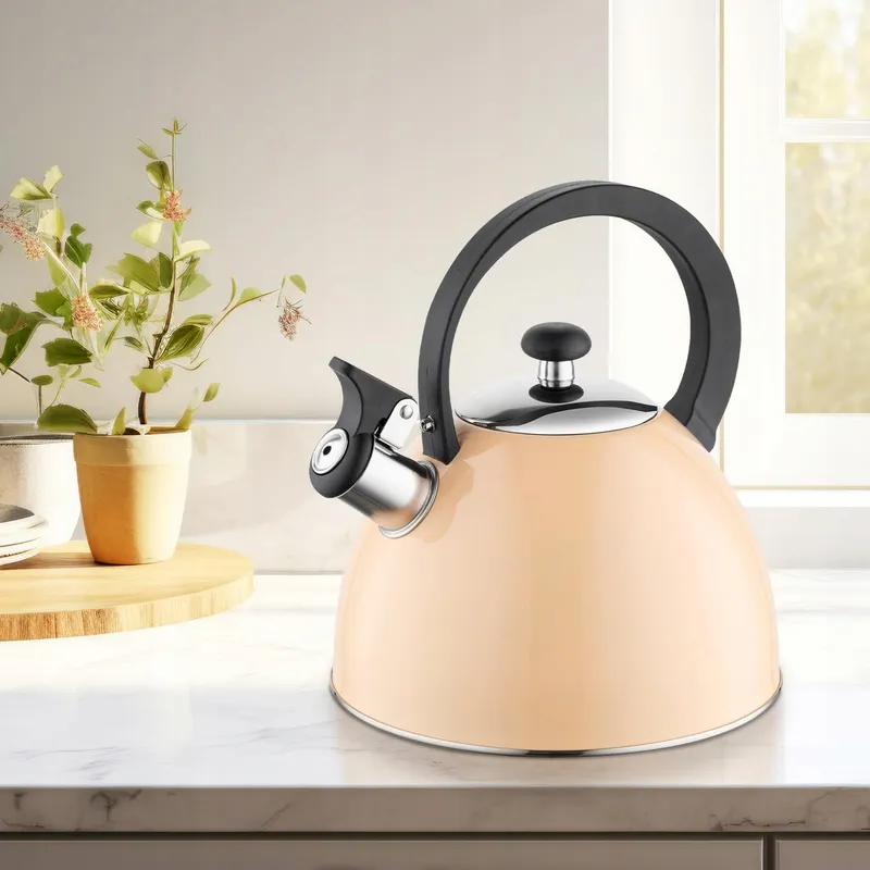 FLORINA BRILLO Waterketel 2L Staal Inductie Gas Elektrisch Bakeliet — foto 5