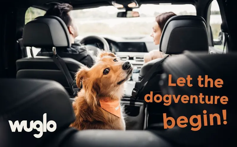 WUGLO Waterdichte Autostoel Hond Verstelbaar Grijs S — foto 9