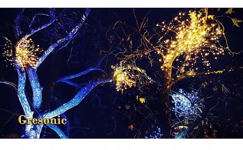 Gresonic LED Lichtsnoer Kerst Binnen Buiten 300 LED Wit — foto 10