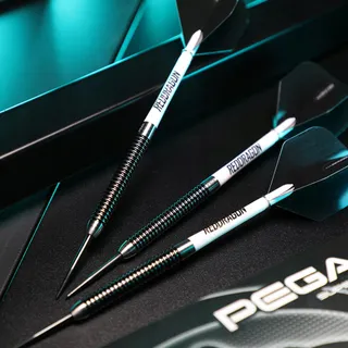 RED DRAGON Professionele Steeltip Darts 24g Tungsten Flights Schachten — miniatuur 7
