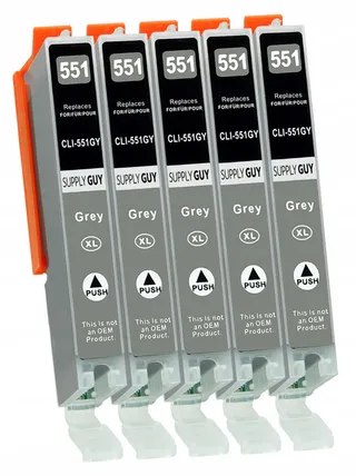 SUPPLY GUY 5 Inktpatronen Met Chip Compatibel Canon CLI-551 Grijs Pixma — miniatuur 1