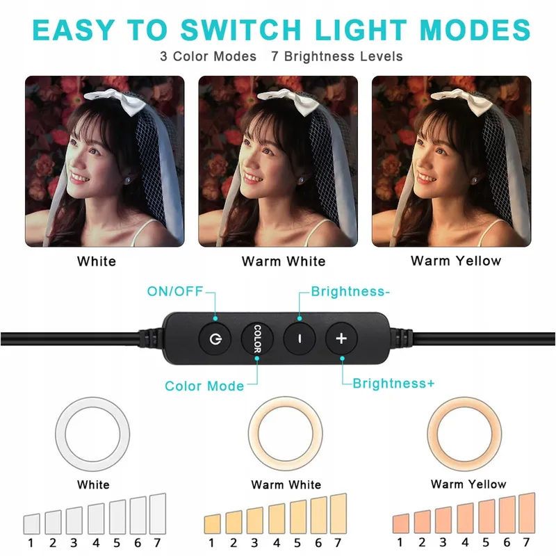 GODOX LR120 LED Ringlichtset 12 Inch Tweekleurig Licht — foto 3