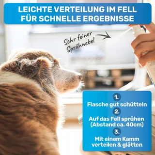 BluePet Borstel en Ontviltingsspray Honden Katten — miniatuur 4