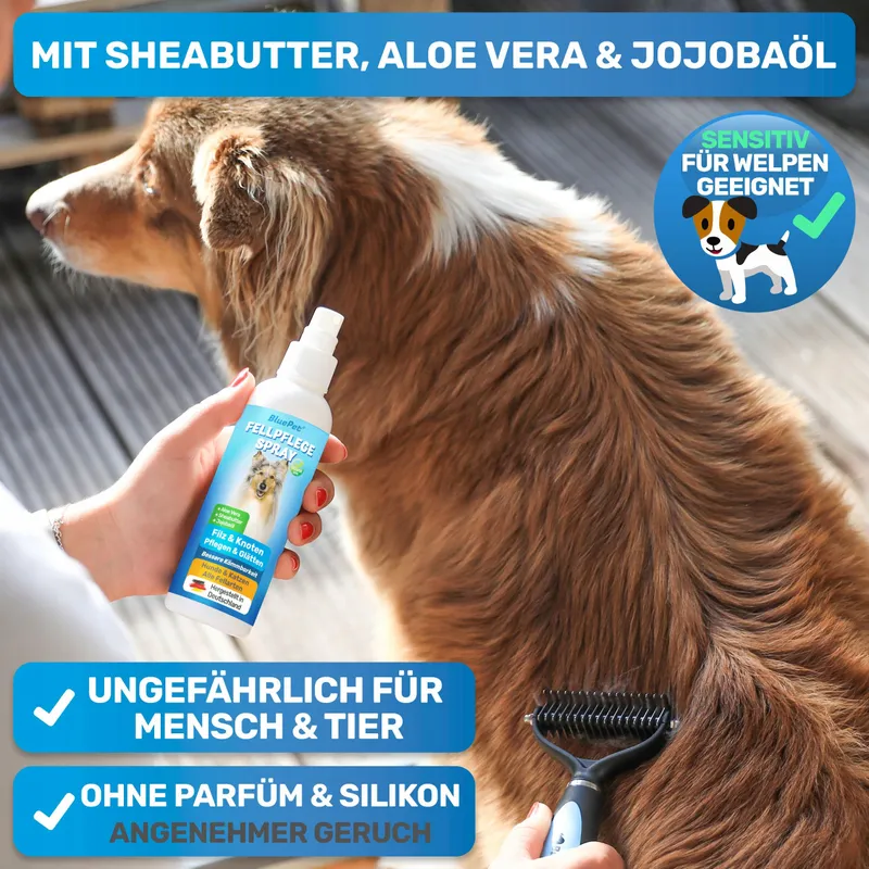 BluePet Borstel en Ontviltingsspray Honden Katten — foto 3