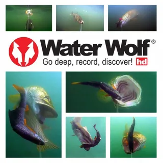 WATERWOLF 2.0 WiFi Onderwatercamera Voor Vissen 1080p HD 120 100m — miniatuur 4