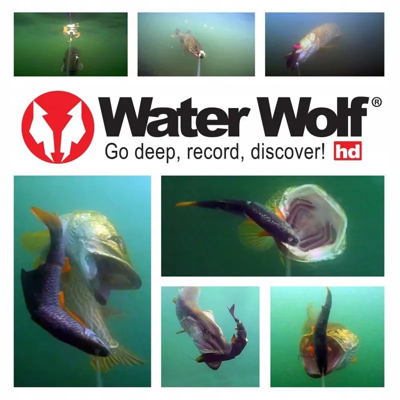WATERWOLF 2.0 WiFi Onderwatercamera Voor Vissen 1080p HD 120 100m — foto 4