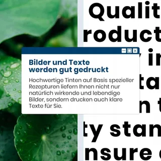 HP Inktset 301XL Zwart voor Envy Deskjet Officejet Printers — miniatuur 7