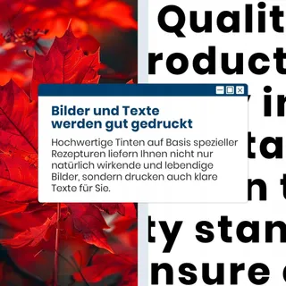 CANON Zwarte Inkt 540XL Multipack Pixma TS5150 MG3650 MX475 — miniatuur 7