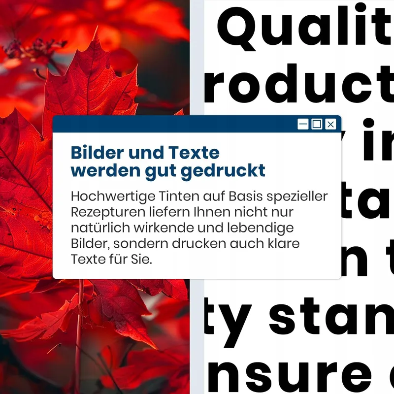CANON Zwarte Inkt 540XL Multipack Pixma TS5150 MG3650 MX475 — foto 7