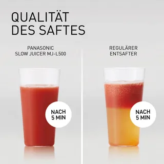 PANASONIC MJ-L500S Slow Juicer Sap Bevroren Ingrediënten Zilver — miniatuur 7