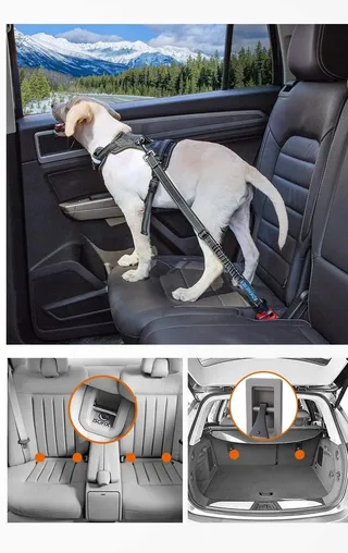 IOKHEIRA Verstelbare Veiligheidsgordel Hond Auto — miniatuur 9